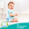 Pañales-Confort-Sec-M-Pampers-52-Unidades--4-35125